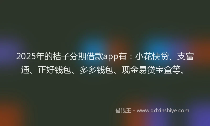 2025年的桔子分期借款app有：小花快贷、支富通、正好钱包、多多钱包、现金易贷宝盒等。