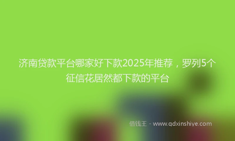济南贷款平台哪家好下款2025年推荐，罗列5个征信花居然都下款的平台