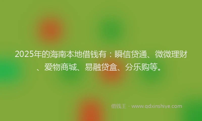 2025年的海南本地借钱有：瞬信贷通、微微理财、爱物商城、易融贷盒、分乐购等。