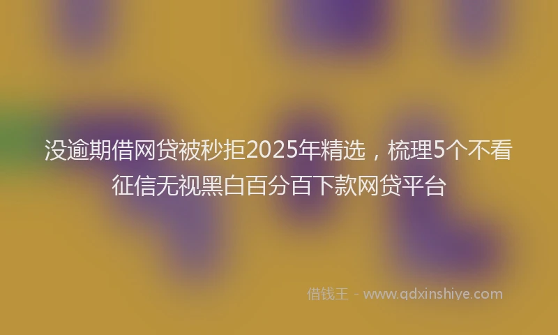 没逾期借网贷被秒拒2025年精选，梳理5个不看征信无视黑白百分百下款网贷平台