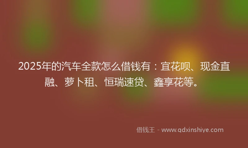 2025年的汽车全款怎么借钱有：宜花呗、现金直融、萝卜租、恒瑞速贷、鑫享花等。