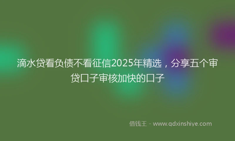 滴水贷看负债不看征信2025年精选，分享五个审贷口子审核加快的口子