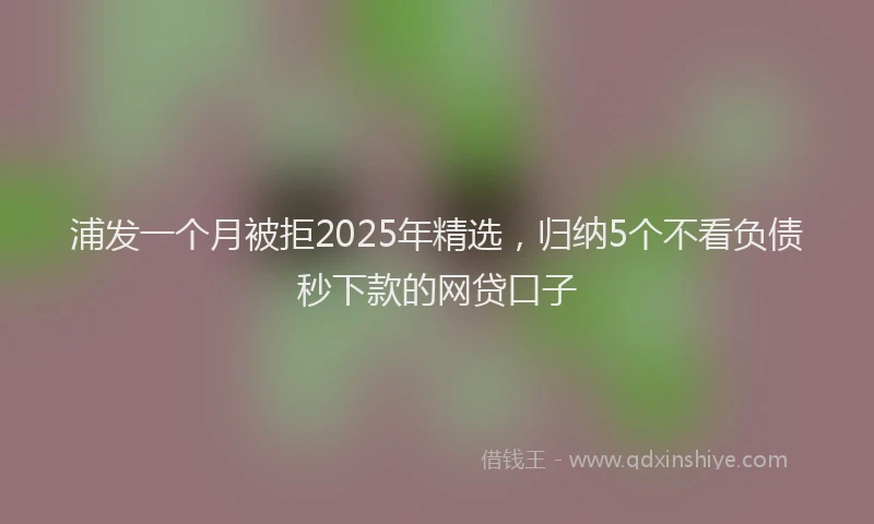 浦发一个月被拒2025年精选，归纳5个不看负债秒下款的网贷口子
