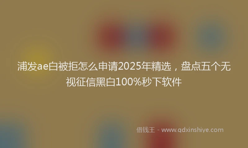 浦发ae白被拒怎么申请2025年精选，盘点五个无视征信黑白100%秒下软件