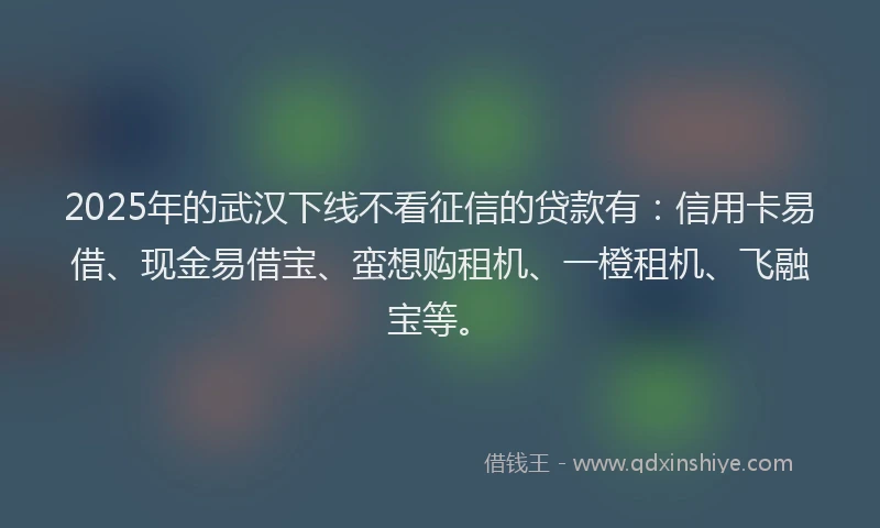 2025年的武汉下线不看征信的贷款有：信用卡易借、现金易借宝、蛮想购租机、一橙租机、飞融宝等。