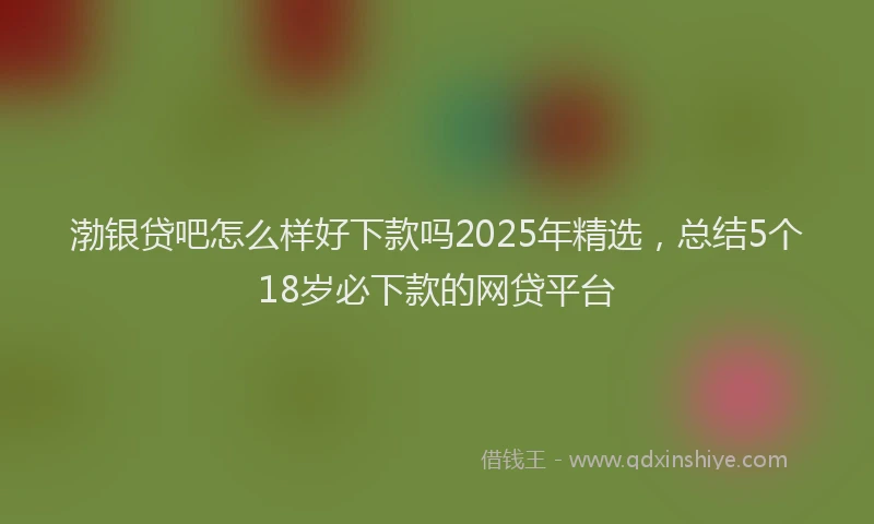 渤银贷吧怎么样好下款吗2025年精选，总结5个18岁必下款的网贷平台
