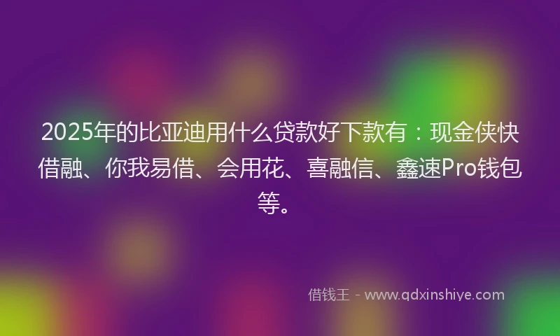 2025年的比亚迪用什么贷款好下款有：现金侠快借融、你我易借、会用花、喜融信、鑫速Pro钱包等。