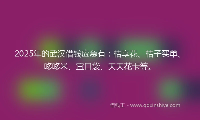 2025年的武汉借钱应急有：桔享花、桔子买单、哆哆米、宜口袋、天天花卡等。