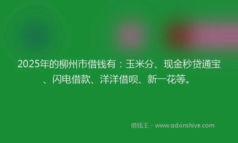 2025年的柳州市借钱有：玉米分、现金秒贷通宝、闪电借款、洋洋借呗、新一花等。
