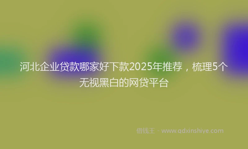 河北企业贷款哪家好下款2025年推荐，梳理5个无视黑白的网贷平台