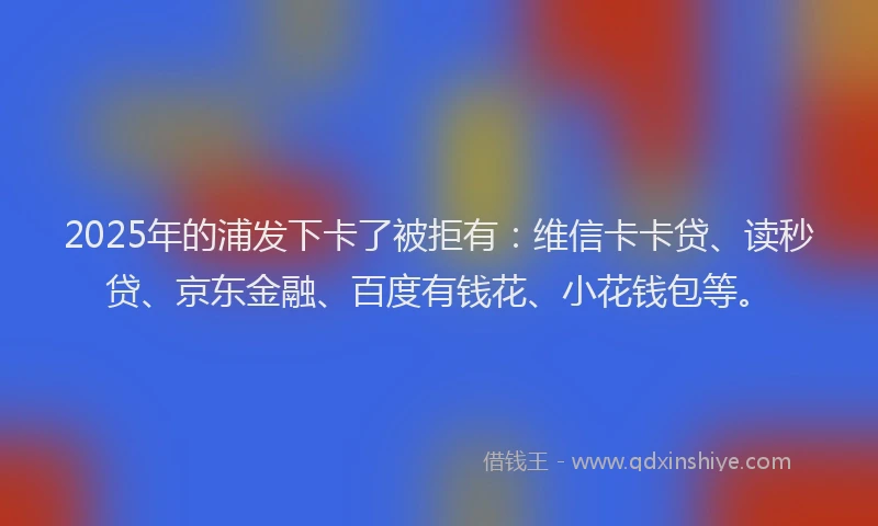 2025年的浦发下卡了被拒有：维信卡卡贷、读秒贷、京东金融、百度有钱花、小花钱包等。