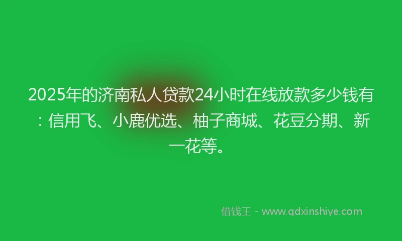 2025年的济南私人贷款24小时在线放款多少钱有：信用飞、小鹿优选、柚子商城、花豆分期、新一花等。