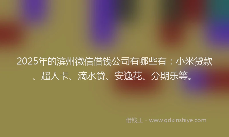 2025年的滨州微信借钱公司有哪些有：小米贷款、超人卡、滴水贷、安逸花、分期乐等。