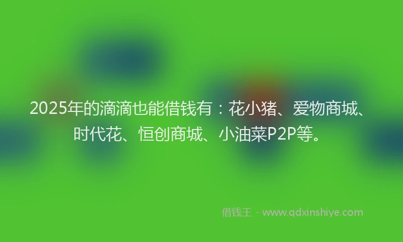 2025年的滴滴也能借钱有：花小猪、爱物商城、时代花、恒创商城、小油菜P2P等。