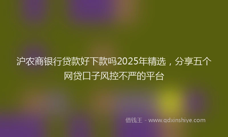 沪农商银行贷款好下款吗2025年精选，分享五个网贷口子风控不严的平台