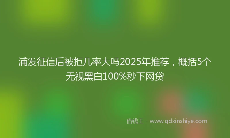 浦发征信后被拒几率大吗2025年推荐，概括5个无视黑白100%秒下网贷