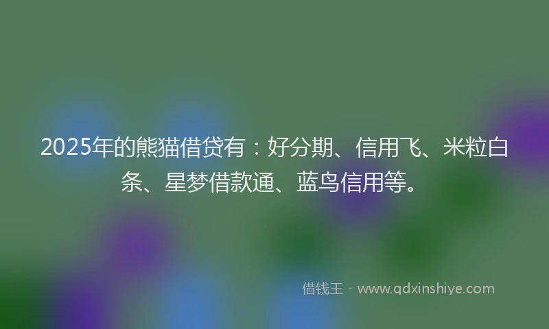 2025年的熊猫借贷有：好分期、信用飞、米粒白条、星梦借款通、蓝鸟信用等。