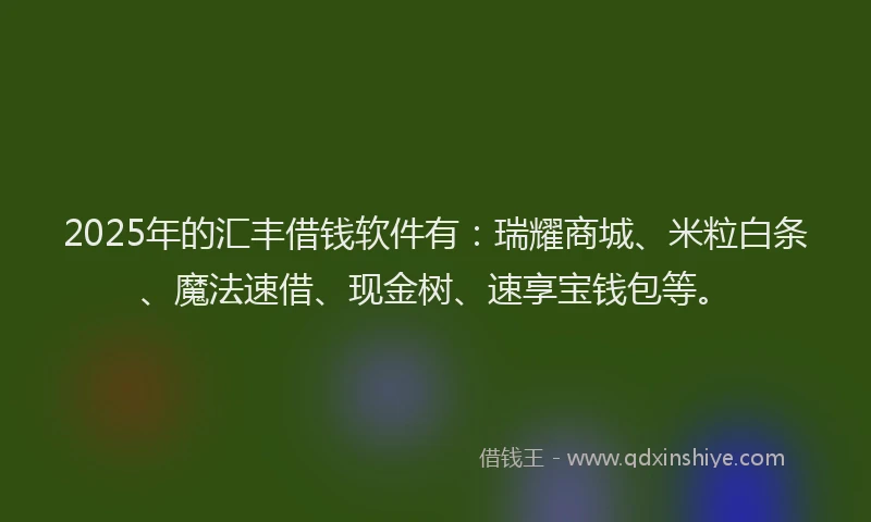 2025年的汇丰借钱软件有：瑞耀商城、米粒白条、魔法速借、现金树、速享宝钱包等。