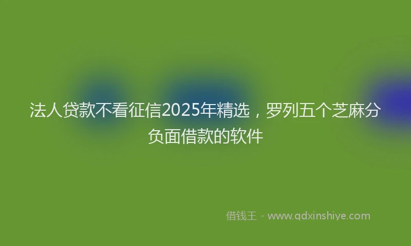 法人贷款不看征信2025年精选，罗列五个芝麻分负面借款的软件