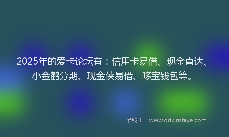 2025年的爱卡论坛有：信用卡易借、现金直达、小金鹤分期、现金侠易借、哆宝钱包等。