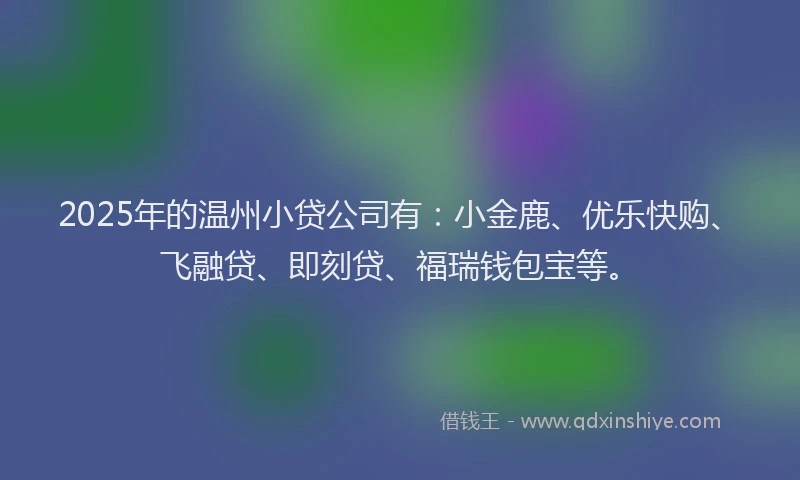 2025年的温州小贷公司有：小金鹿、优乐快购、飞融贷、即刻贷、福瑞钱包宝等。