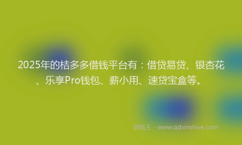 2025年的桔多多借钱平台有：借贷易贷、银杏花、乐享Pro钱包、薪小用、速贷宝盒等。