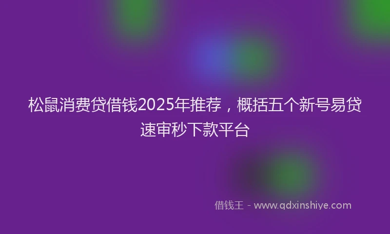 松鼠消费贷借钱2025年推荐，概括五个新号易贷速审秒下款平台
