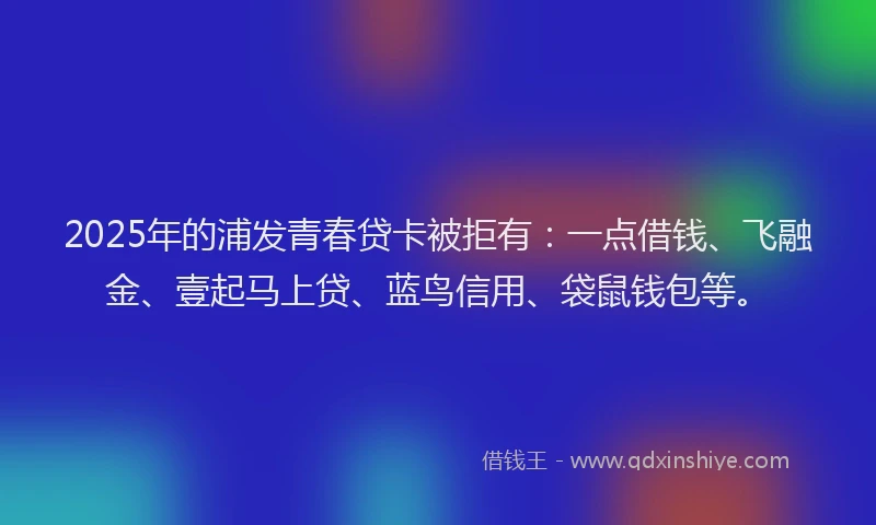 2025年的浦发青春贷卡被拒有：一点借钱、飞融金、壹起马上贷、蓝鸟信用、袋鼠钱包等。