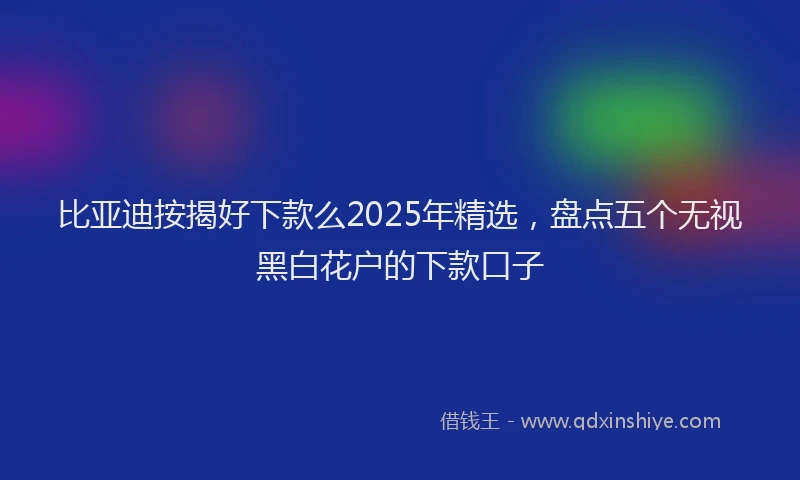 比亚迪按揭好下款么2025年精选，盘点五个无视黑白花户的下款口子
