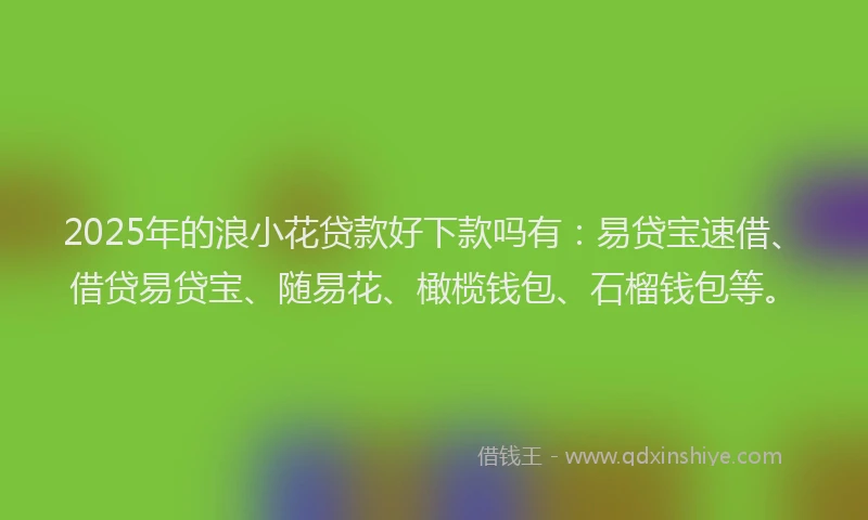 2025年的浪小花贷款好下款吗有：易贷宝速借、借贷易贷宝、随易花、橄榄钱包、石榴钱包等。