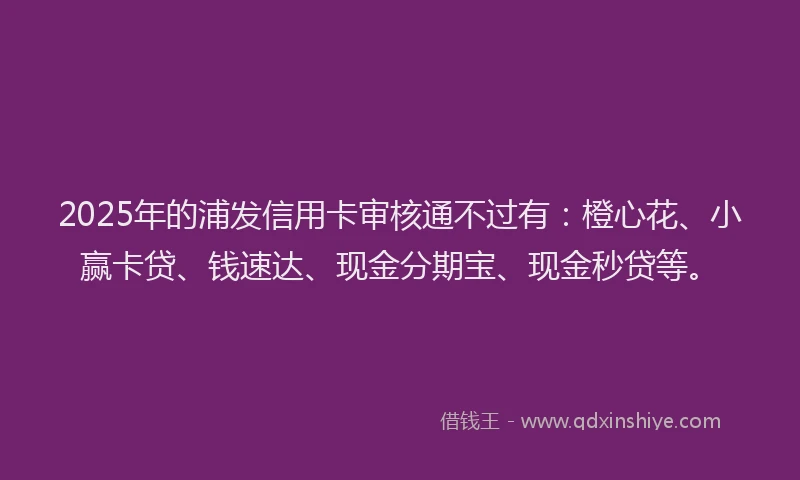 2025年的浦发信用卡审核通不过有：橙心花、小赢卡贷、钱速达、现金分期宝、现金秒贷等。