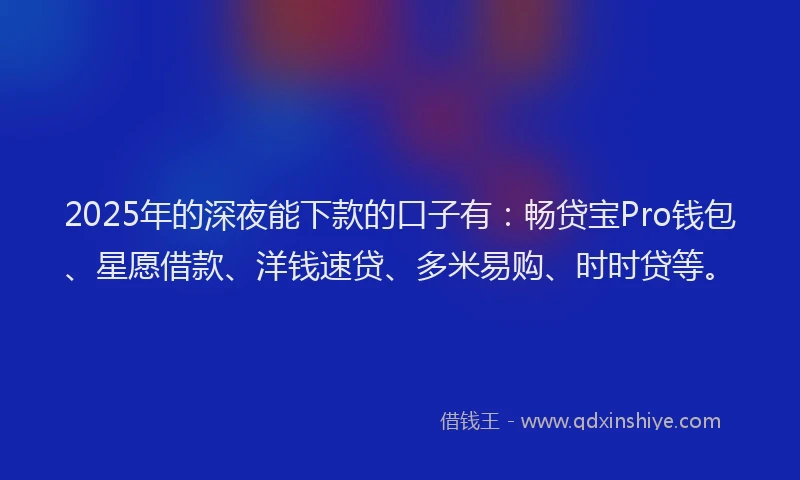 2025年的深夜能下款的口子有：畅贷宝Pro钱包、星愿借款、洋钱速贷、多米易购、时时贷等。
