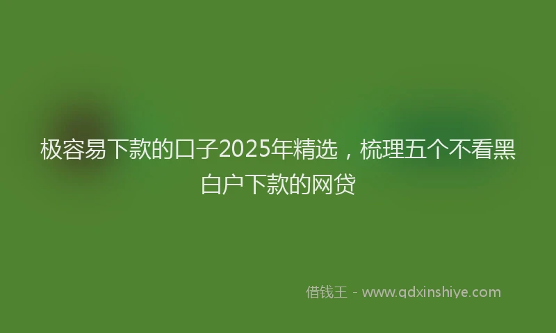 极容易下款的口子2025年精选，梳理五个不看黑白户下款的网贷
