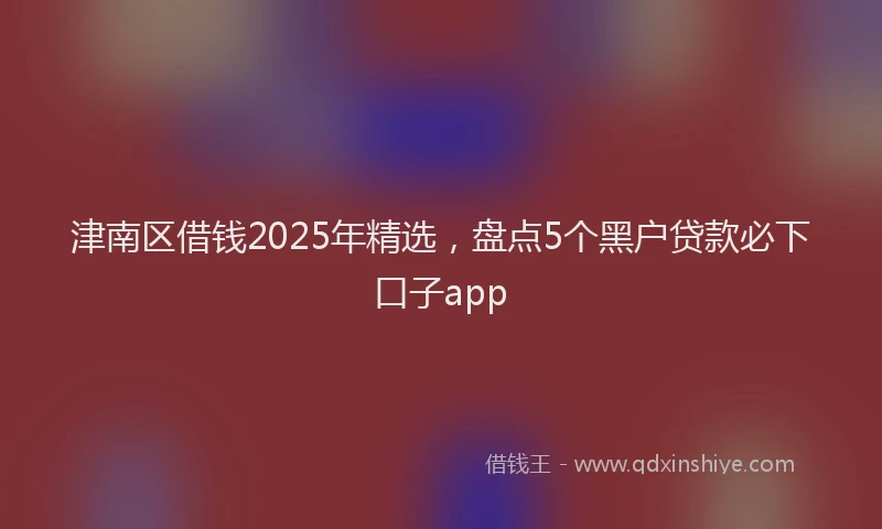 津南区借钱2025年精选，盘点5个黑户贷款必下口子app