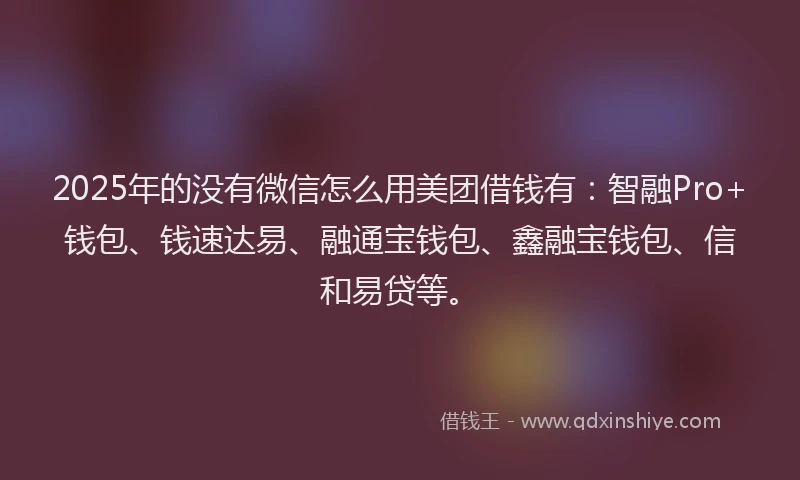 2025年的没有微信怎么用美团借钱有：智融Pro+钱包、钱速达易、融通宝钱包、鑫融宝钱包、信和易贷等。