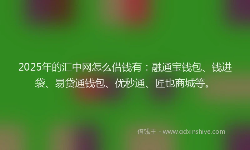 2025年的汇中网怎么借钱有：融通宝钱包、钱进袋、易贷通钱包、优秒通、匠也商城等。