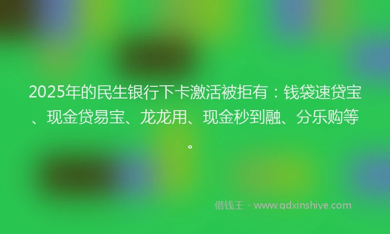 2025年的民生银行下卡激活被拒有：钱袋速贷宝、现金贷易宝、龙龙用、现金秒到融、分乐购等。