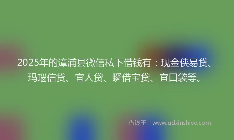2025年的漳浦县微信私下借钱有：现金侠易贷、玛瑙信贷、宜人贷、瞬借宝贷、宜口袋等。
