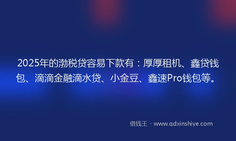 2025年的渤税贷容易下款有：厚厚租机、鑫贷钱包、滴滴金融滴水贷、小金豆、鑫速Pro钱包等。