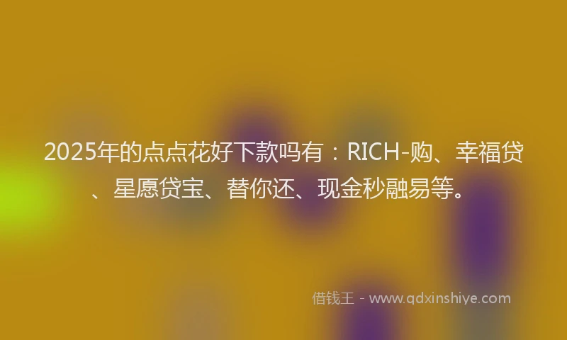 2025年的点点花好下款吗有：RICH-购、幸福贷、星愿贷宝、替你还、现金秒融易等。