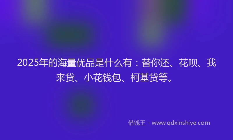 2025年的海量优品是什么有：替你还、花呗、我来贷、小花钱包、柯基贷等。