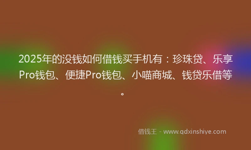 2025年的没钱如何借钱买手机有：珍珠贷、乐享Pro钱包、便捷Pro钱包、小喵商城、钱贷乐借等。