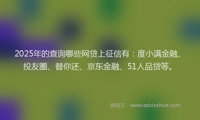 2025年的查询哪些网贷上征信有：度小满金融、投友圈、替你还、京东金融、51人品贷等。