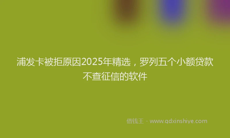 浦发卡被拒原因2025年精选，罗列五个小额贷款不查征信的软件