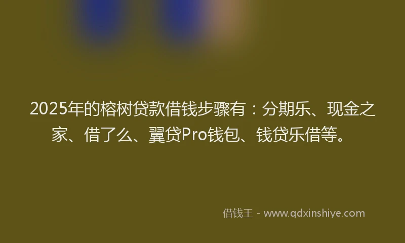 2025年的榕树贷款借钱步骤有：分期乐、现金之家、借了么、翼贷Pro钱包、钱贷乐借等。