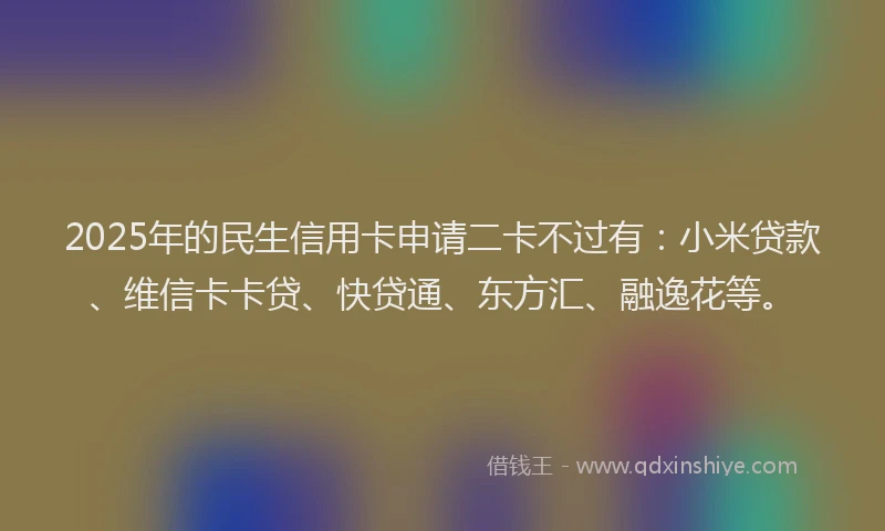 2025年的民生信用卡申请二卡不过有：小米贷款、维信卡卡贷、快贷通、东方汇、融逸花等。