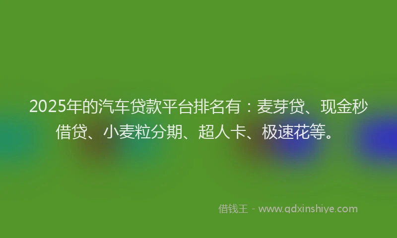 2025年的汽车贷款平台排名有：麦芽贷、现金秒借贷、小麦粒分期、超人卡、极速花等。