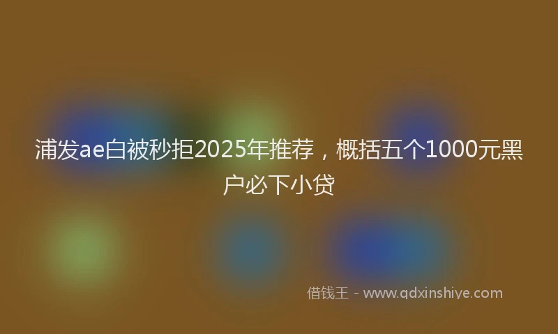 浦发ae白被秒拒2025年推荐，概括五个1000元黑户必下小贷