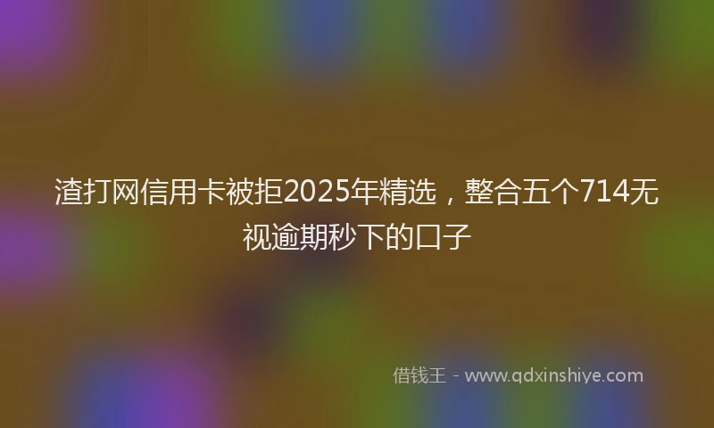 渣打网信用卡被拒2025年精选，整合五个714无视逾期秒下的口子