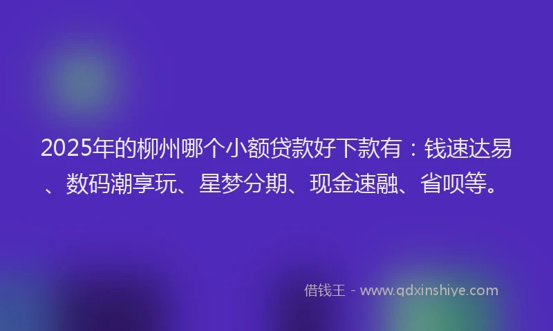 2025年的柳州哪个小额贷款好下款有：钱速达易、数码潮享玩、星梦分期、现金速融、省呗等。